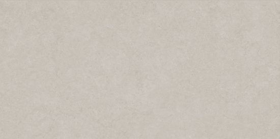 Lithoform 24X48 Crosscut Coast | Young Interiors Flooring Center
