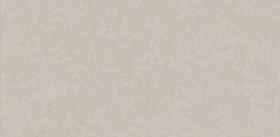 Lithoform 24X48 Crosscut Coast | Young Interiors Flooring Center