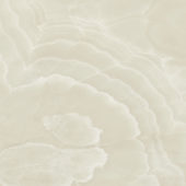 Lustra 48x48 Onyx Crema Honed | Young Interiors Flooring Center