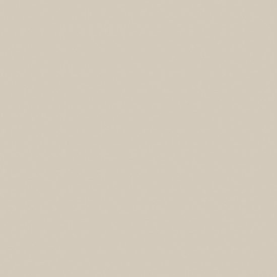 Monoforma 48x48 Oasis Polished | Young Interiors Flooring Center