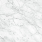 Plata 24x24 Carrara Abisso Polished | Young Interiors Flooring Center