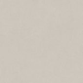 Serena 48X48 Crater | Young Interiors Flooring Center