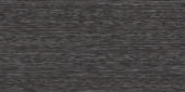 Zera Annex 12x24 Carbon | Young Interiors Flooring Center